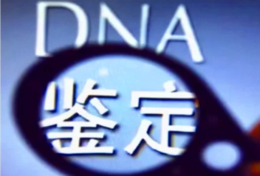 甘肃省血缘检测多久可以检测出来,甘肃省个人亲子鉴定办理方式 甘肃省血缘检测多久可以检测出来,甘肃省个人亲子鉴定办理方式