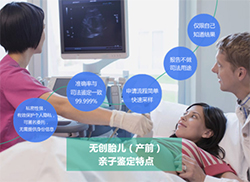 海南省胎儿如何做血缘检测，海南省胎儿亲子鉴定流程是什么