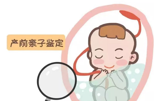 怀孕了福建省如何办理产前亲子鉴定,福建省办理怀孕亲子鉴定结果会不会有问题