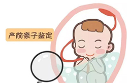 刚怀孕通辽怎么做孕期亲子鉴定，通辽办理产前亲子鉴定结果到底准不准确