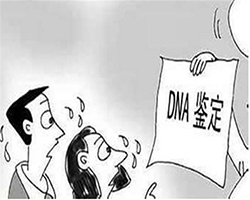 辽阳个人亲子鉴定详细流程及材料，辽阳隐私亲子鉴定收费多少钱