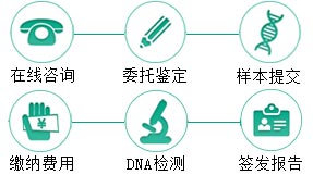 同母异父半同胞鉴定